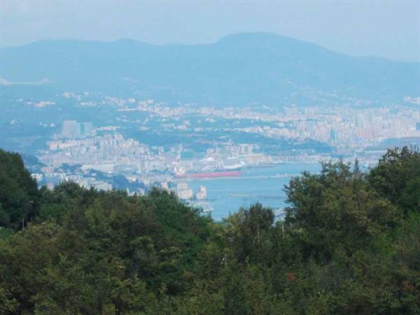 Genoa harbor and hazy city seen through green trees
