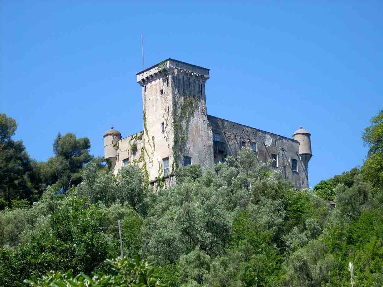 Antico castello di pietra con torretta coperto d'edera sopra gli alberi