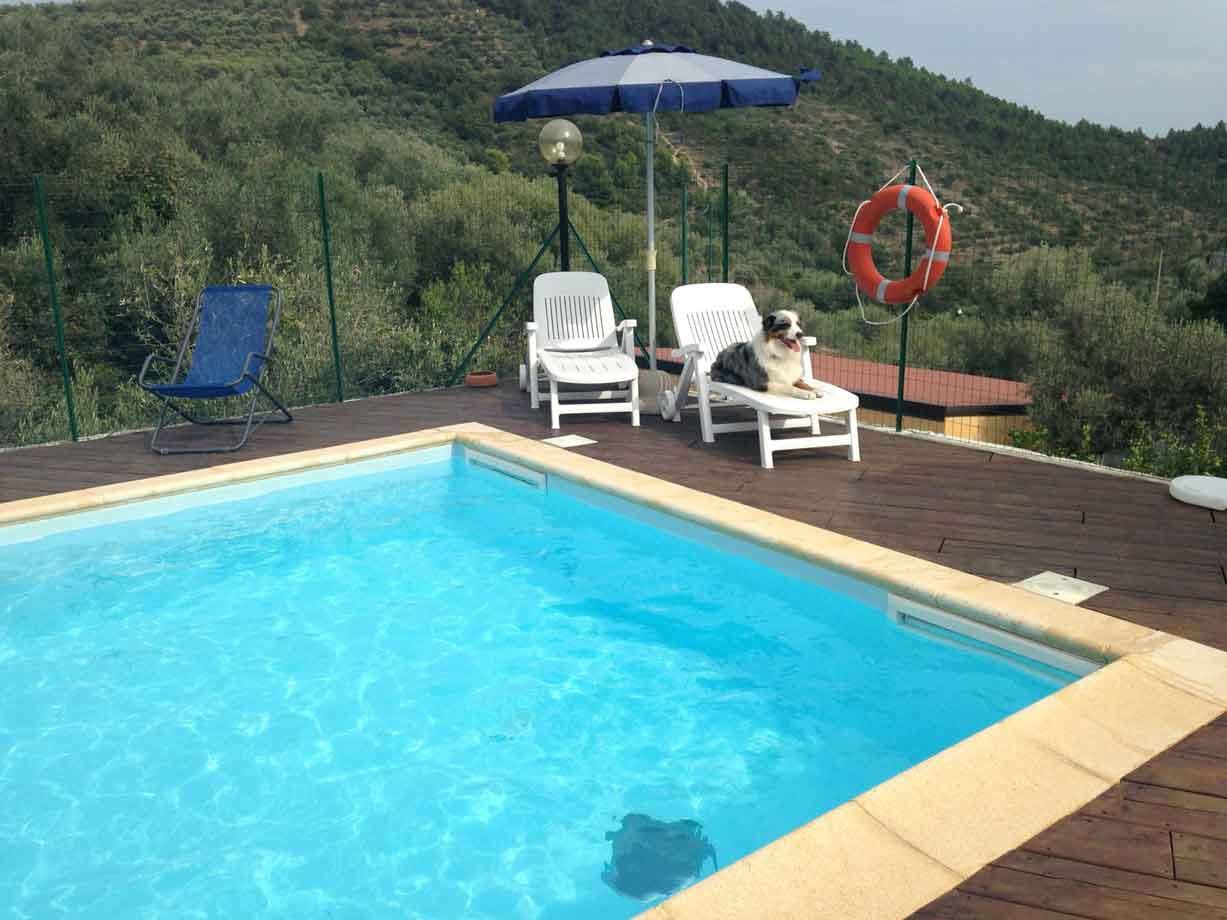 Cane sdraiato su lettino bianco accanto a piscina, ombrellone blu, colline con uliveti