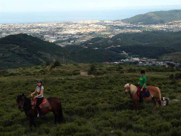 Two riders on horseback on a green hill above town, dog nearby