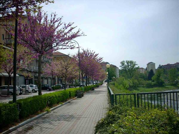 The Orba riverside