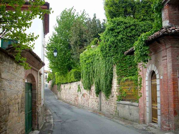 Old walls in the greenery