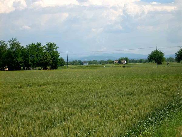 View of the fields around Casal Cermelli