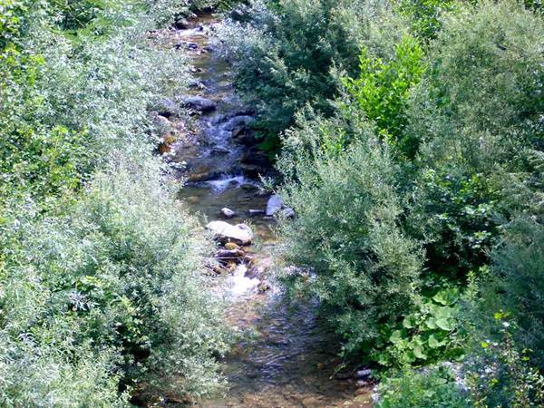 The Visone stream