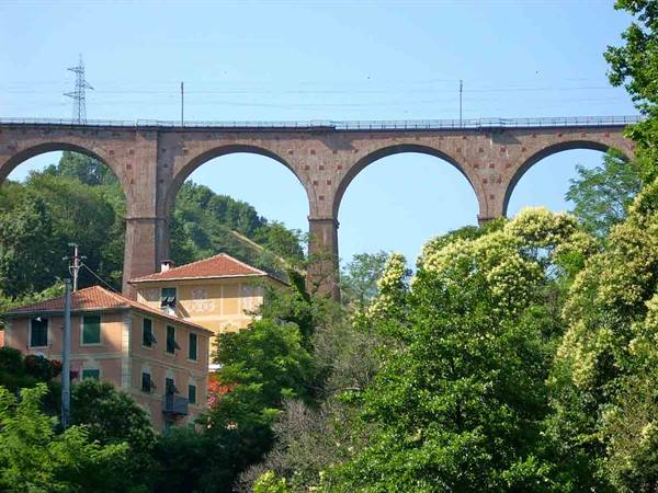 Bridge over the stream