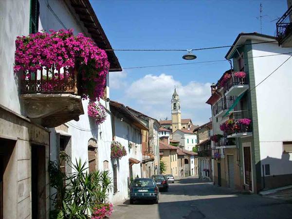 A glimpse of Capriata d'Orba