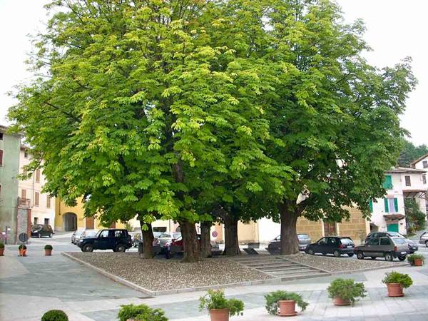 Piazza Principe Doria
