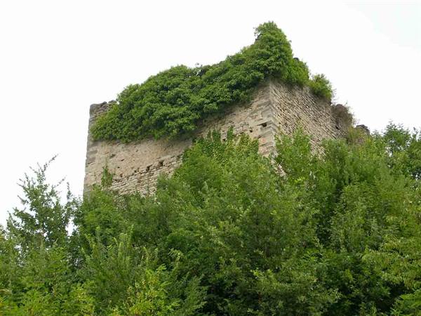 The Castle ruins: the Tower