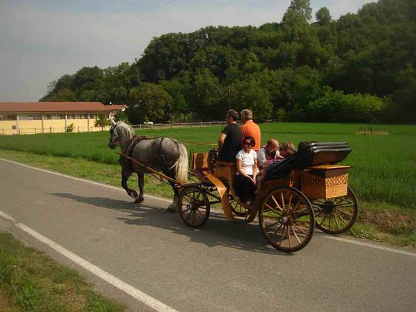 Carriage ride at Casa Castellini