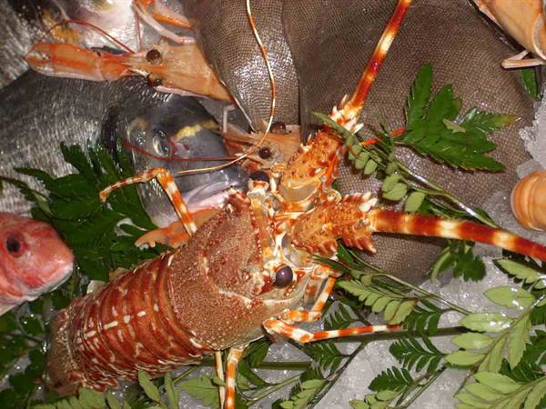 A lobster at Ristorante Da Maiuccia in Vigevano