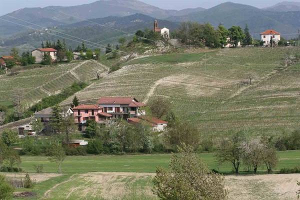 Through the hills of Tagliolo