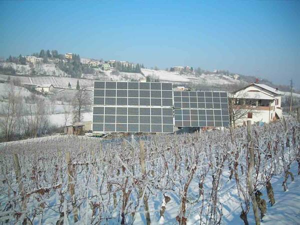 The vineyards of the Cà Bensi farm under the snow