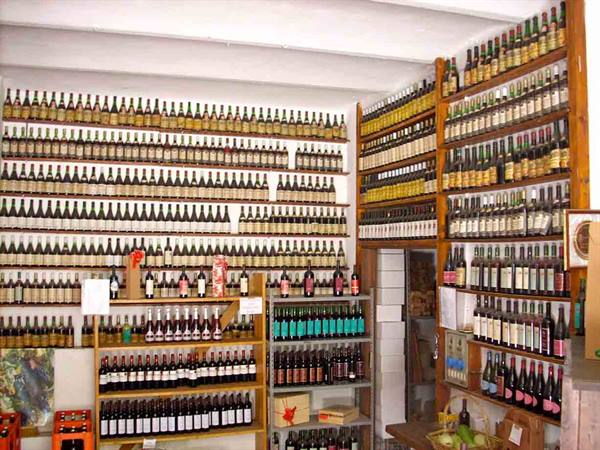In the cellar of the Agriturismo Bottazza
