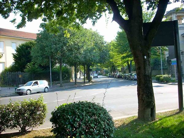 Tree-lined streets in Voghera