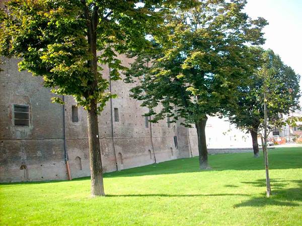 Near the Castle
