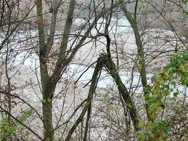 The Staffora stream