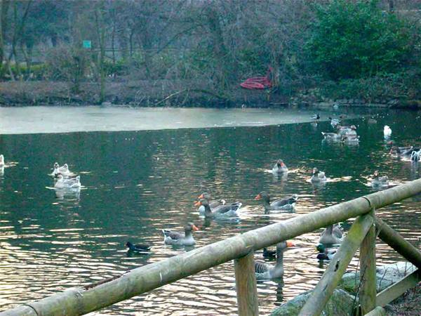 The Park of Legnano
