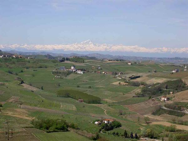 The hills in summer
