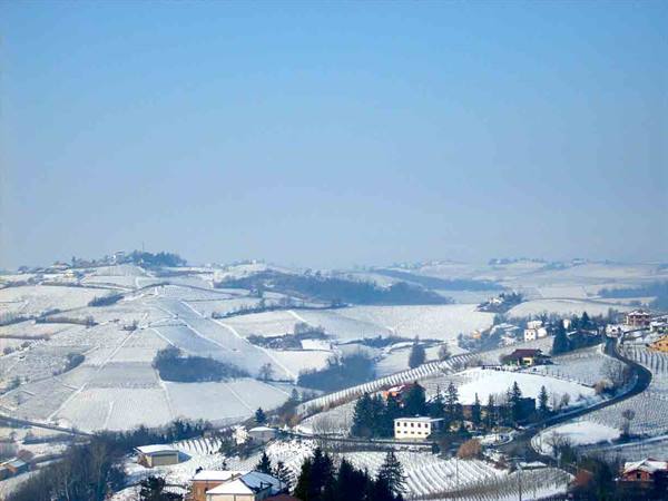 View from the Belvedere