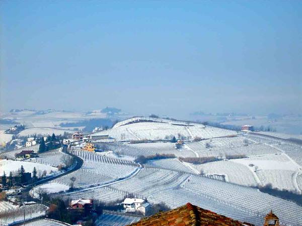 View from the Belvedere