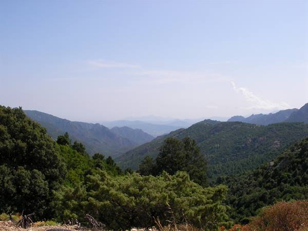 Green hills and layered mountains under blue sky, Mediterranean bushes in the foreground