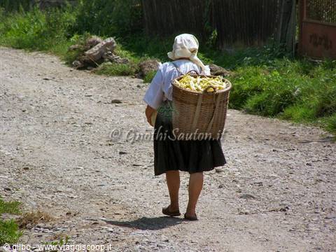 Budesti, returning from the fields