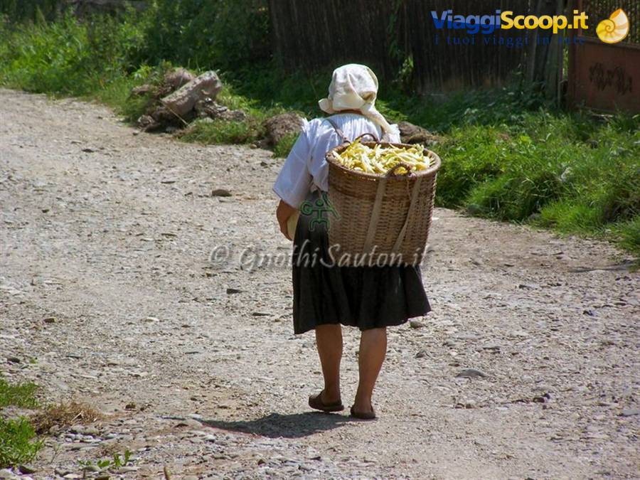 Budesti, returning from the fields