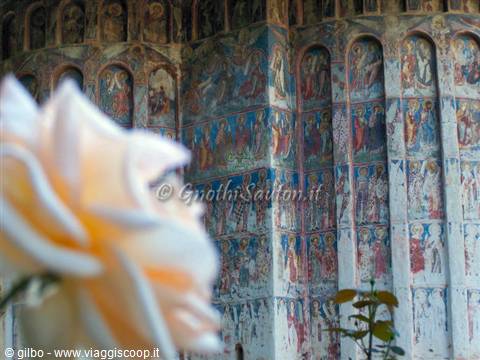 Humor Monastery