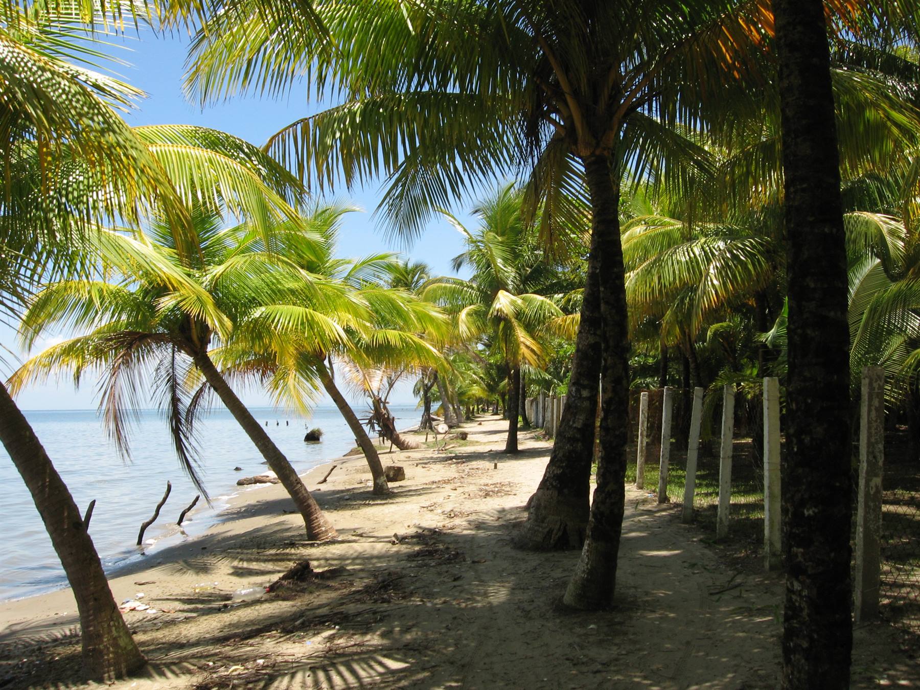 Livingston - www.viaggiericordi.com