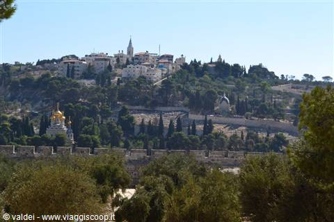MOUNT OF OLIVES