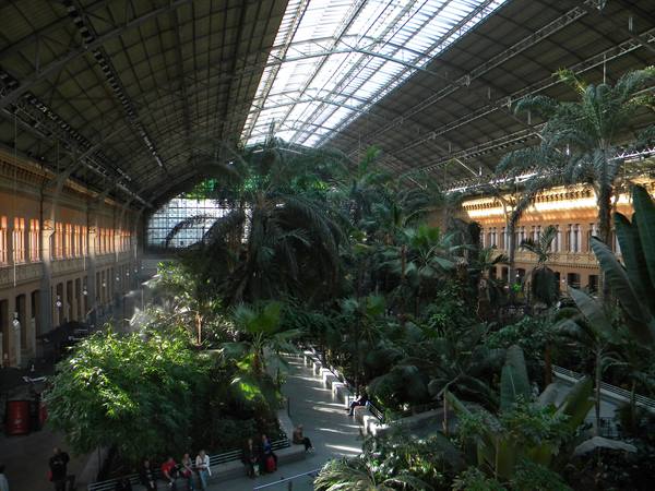 Tropical forest...ooops, I meant Atocha Station!