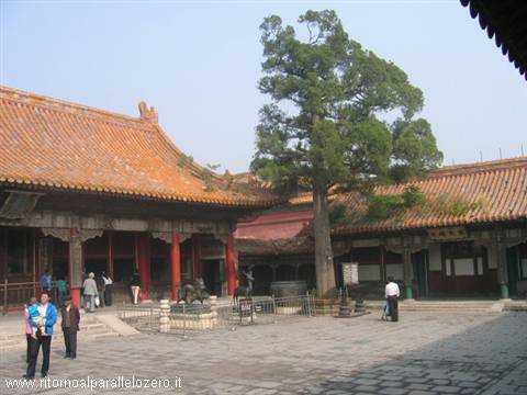 Inside the forbidden city