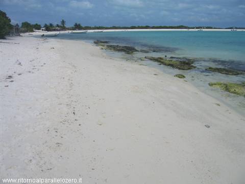 Towards the natural pool