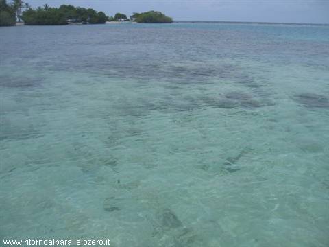 Clear water: a constant!!!