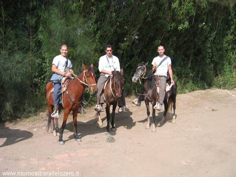 Cow boys