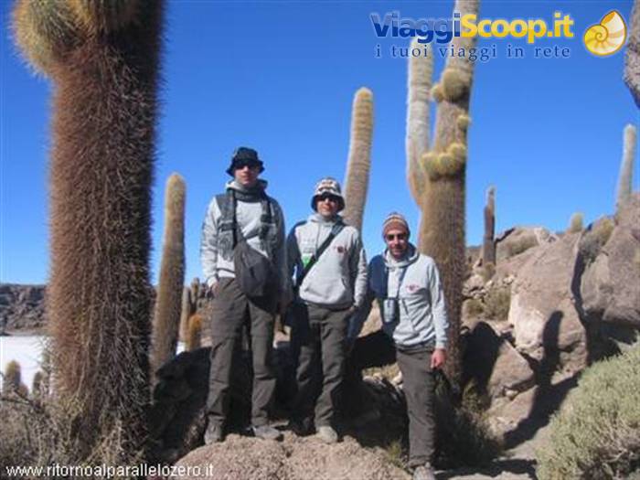 Among the cacti