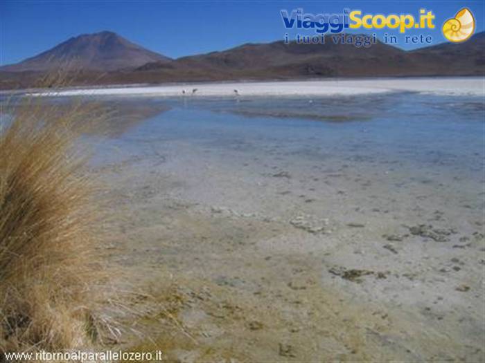Look closely: flamingo in the distance