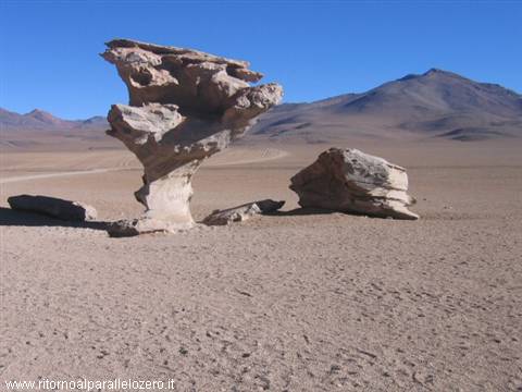 Arbol de piedra