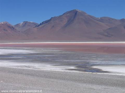 Laguna Colorada again
