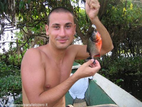 Piranha
