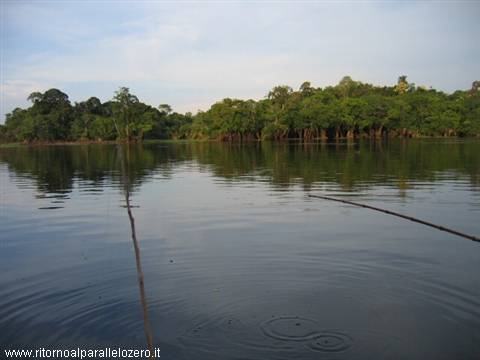 Sampei