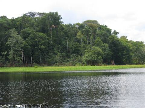 Deeper and deeper into the heart of the jungle