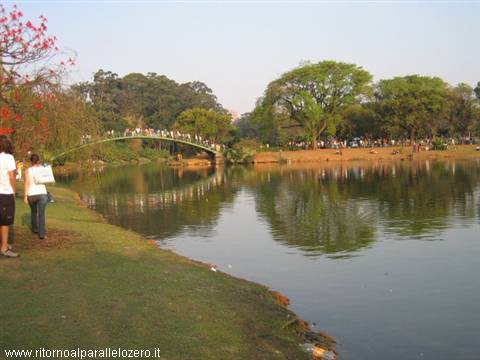Still in the park