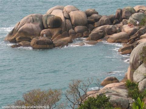 Natural pool