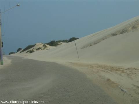 Sandy dunes