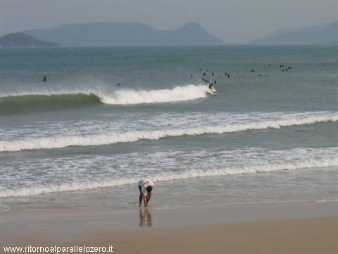 Surfers