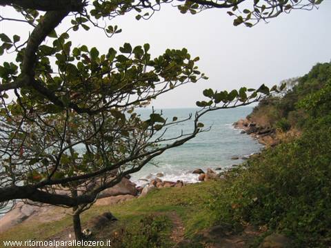 Towards the natural pool