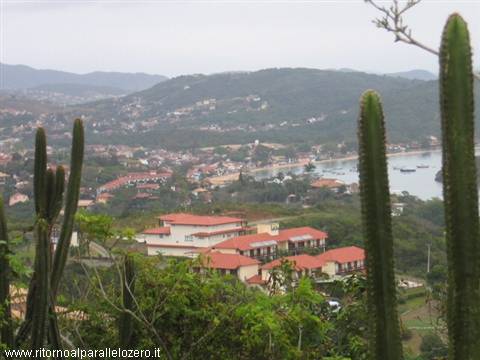 Cactus and Buzios
