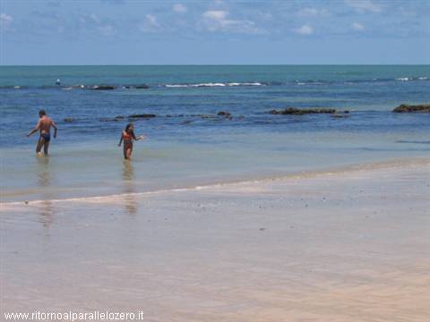 Recife: the coral reef