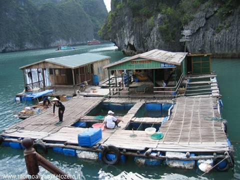 Floating house